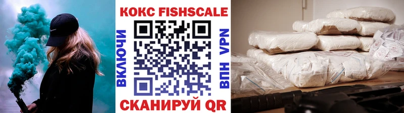 Купить  Галич  COCAIN Fish Scale 