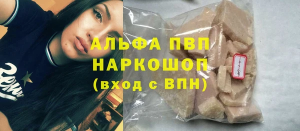 PSILOCYBIN Горняк