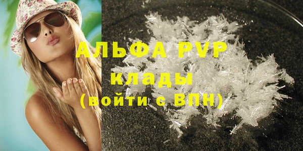 PSILOCYBIN Горняк