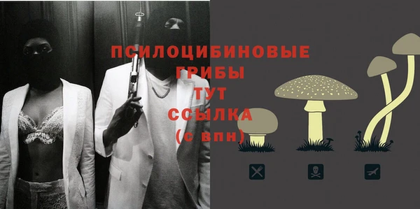 PSILOCYBIN Горняк