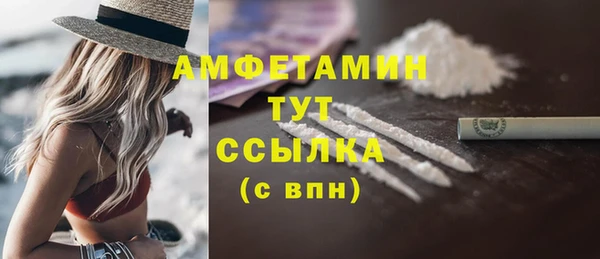 PSILOCYBIN Горняк