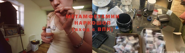 PSILOCYBIN Горняк