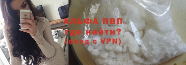 PSILOCYBIN Горняк