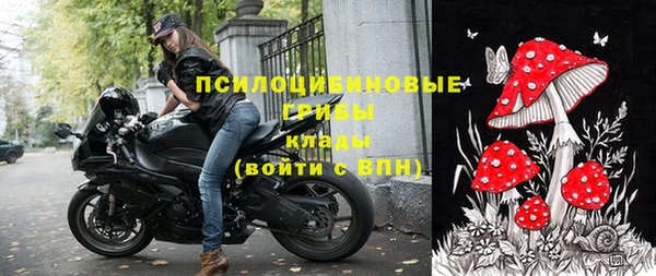 трава Горнозаводск