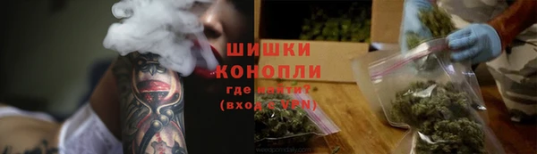 PSILOCYBIN Горняк