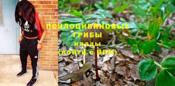 трава Горнозаводск
