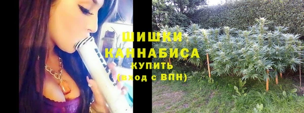 PSILOCYBIN Горняк