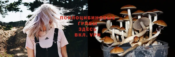 трава Горнозаводск