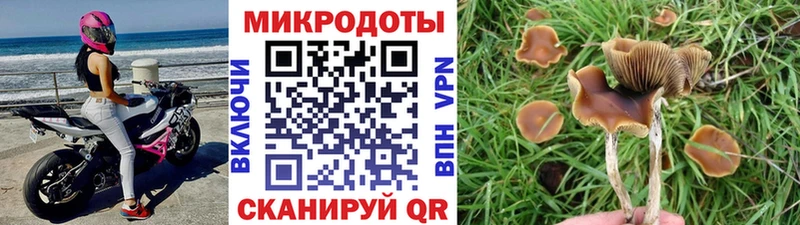 Купить закладки Галич Галлюциногенные грибы Magic Shrooms